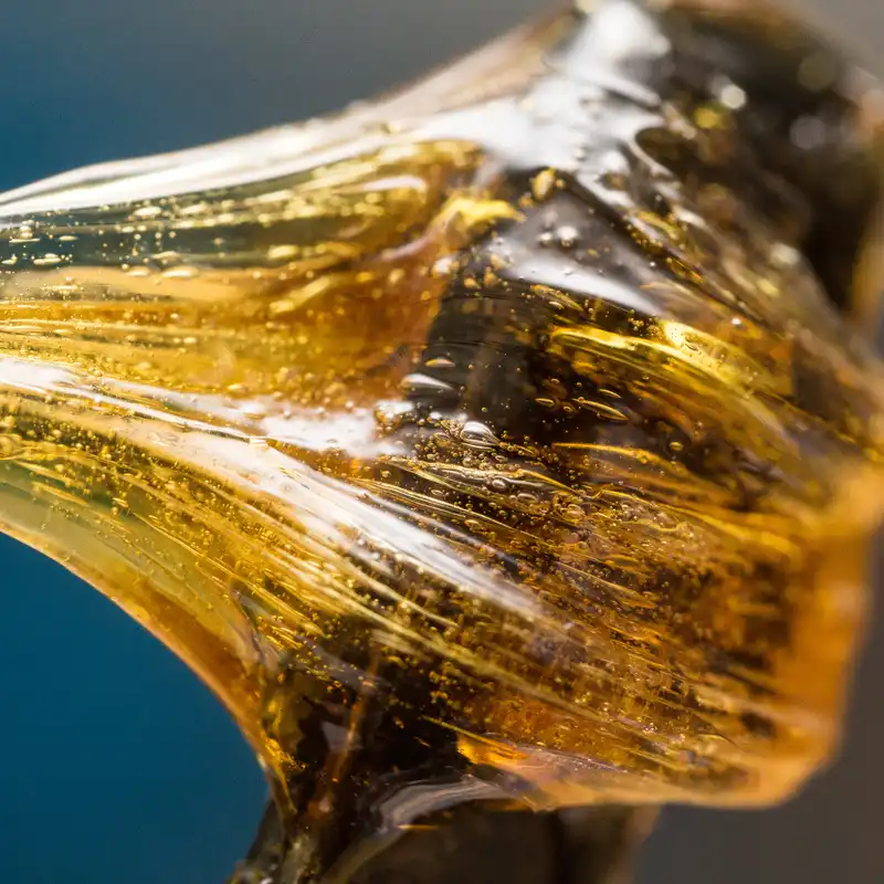 concentrates